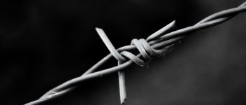 Barbed Wire Background Image Barbed Wire Background Image